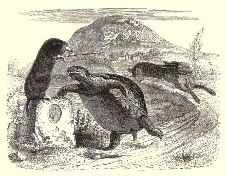 The Tortoise and the Hare (J.J. Grandville, 1855)